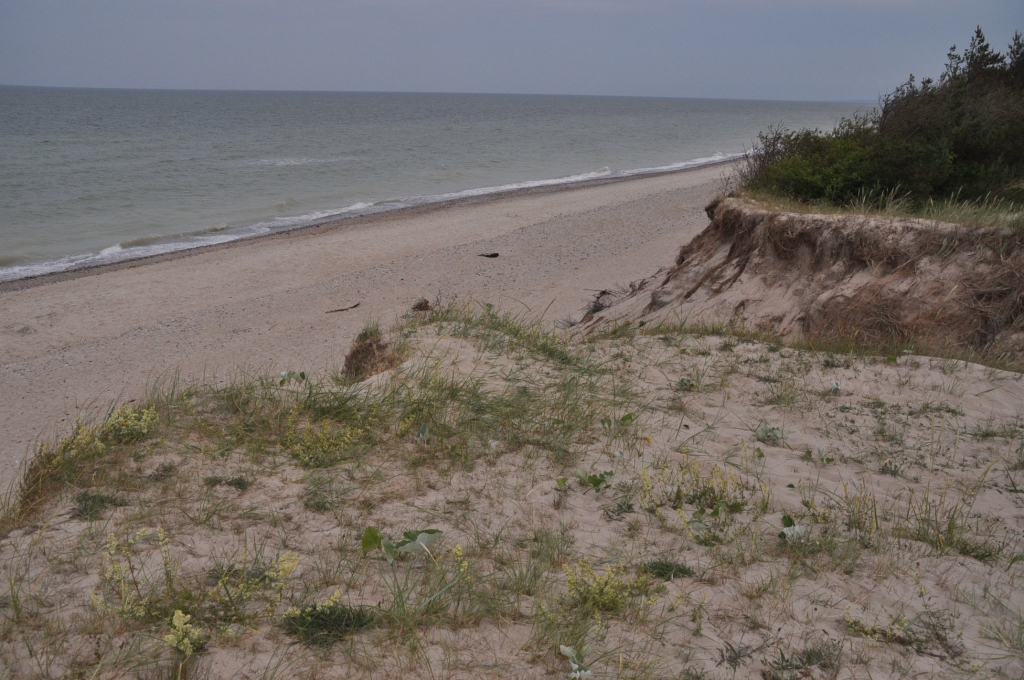 Autors: Dainis Ģelzis