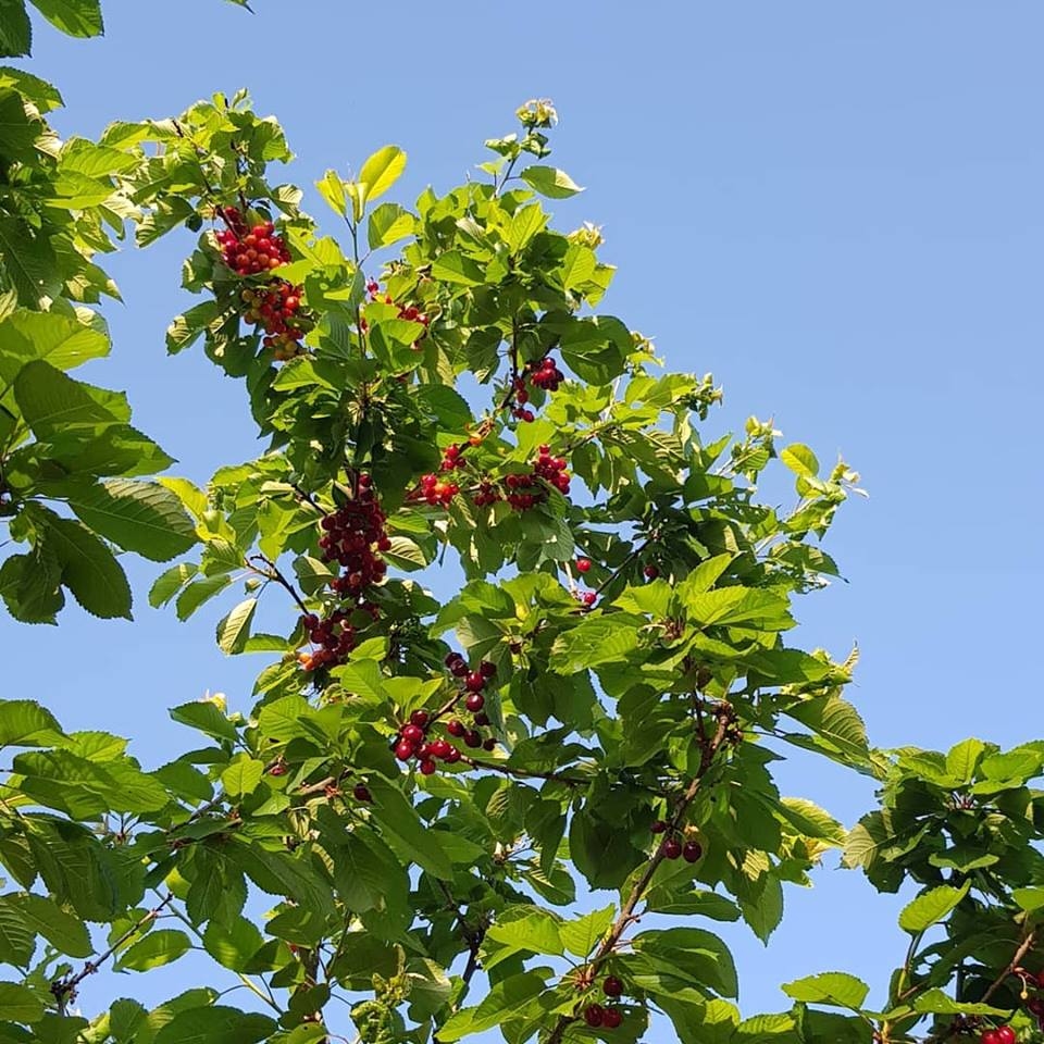 Autors: Foto no Facebook.com