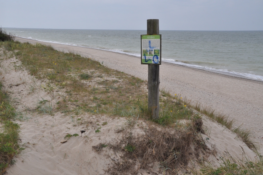 Autors: Dainis Ģelzis