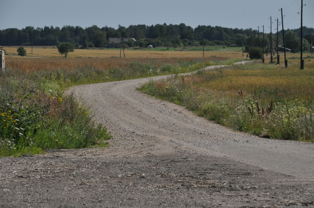 Autors: Dainis Ģelzis