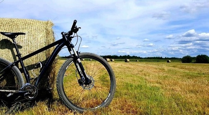 Autors: Baiba Petkus