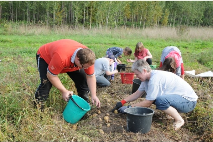 Autors: www.ziemellatvija.lv