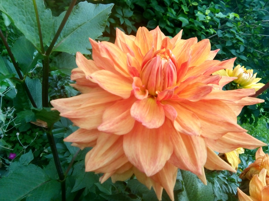 Autors: Uldis Dobelis