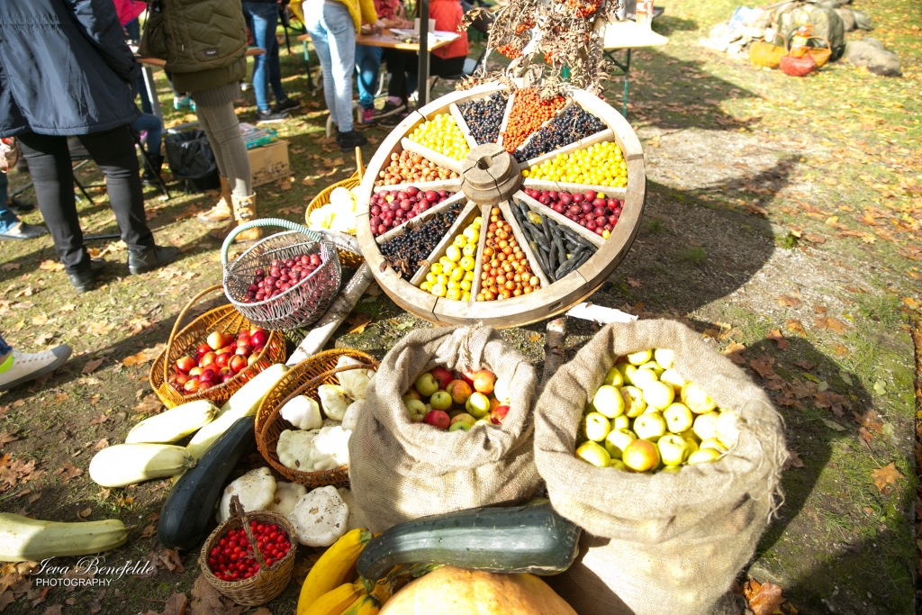 Autors: Ieva Benefelde