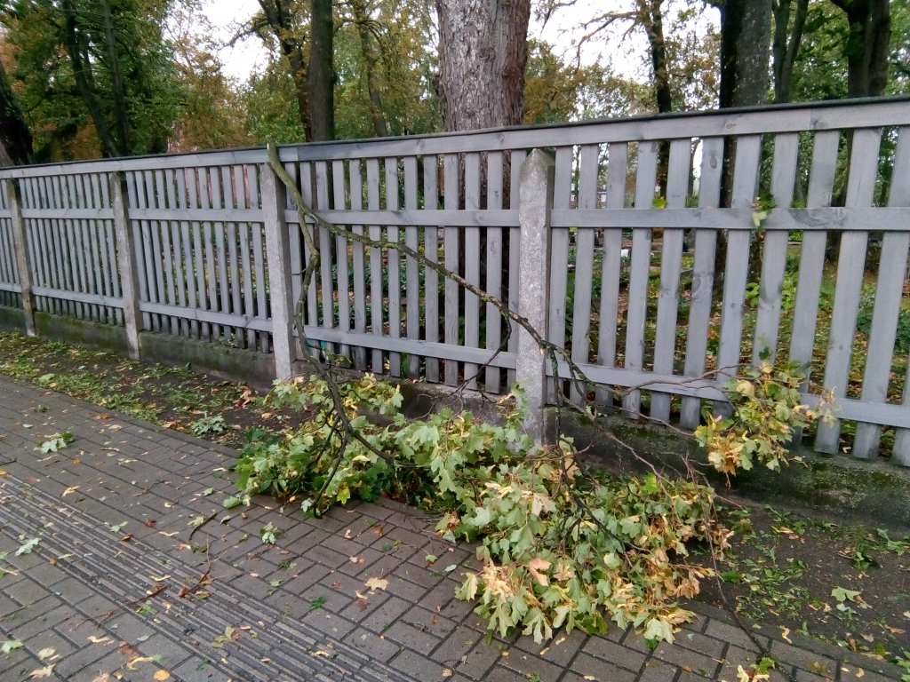 Autors: Uldis Dobelis