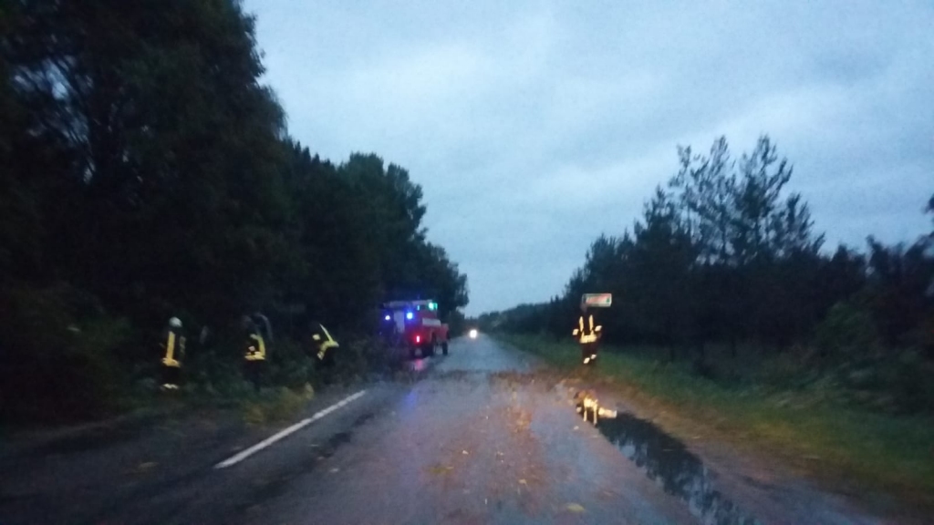 Autors: Gunita Lagzdiņa