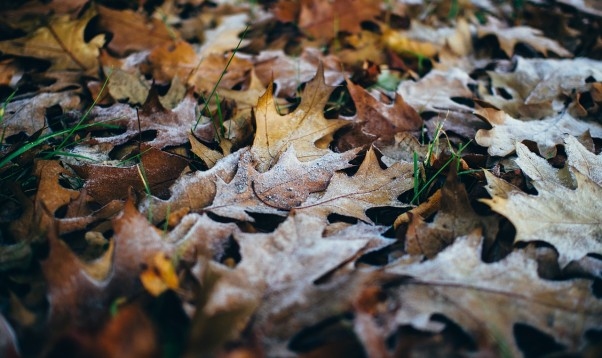 Autors: valmieraszinas.lv