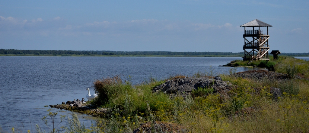 Autors: Labo sajūtu aģentūra 