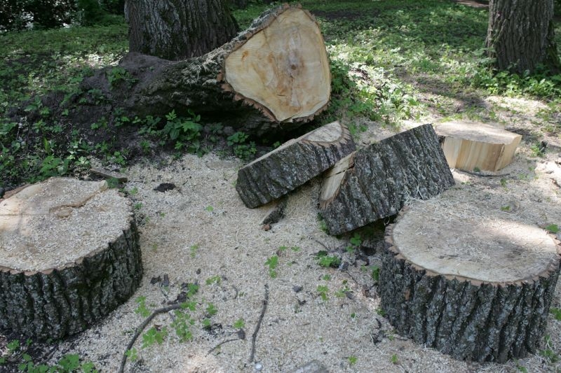 Autors: LVportals.lv