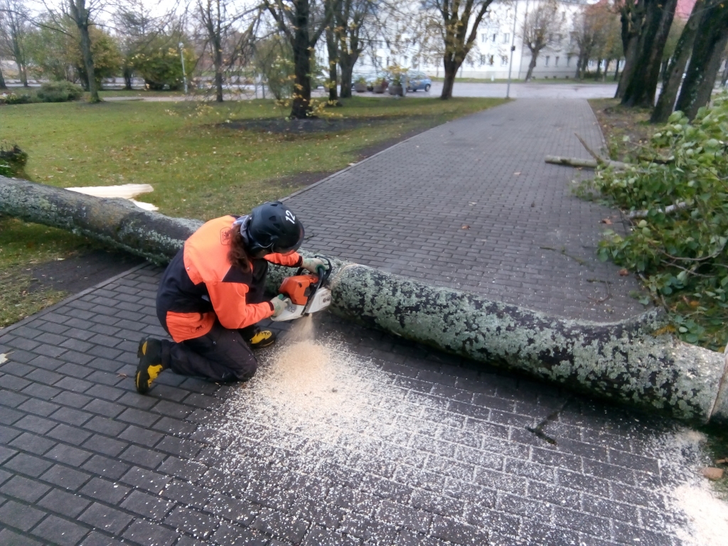 Autors: Uldis Dobelis