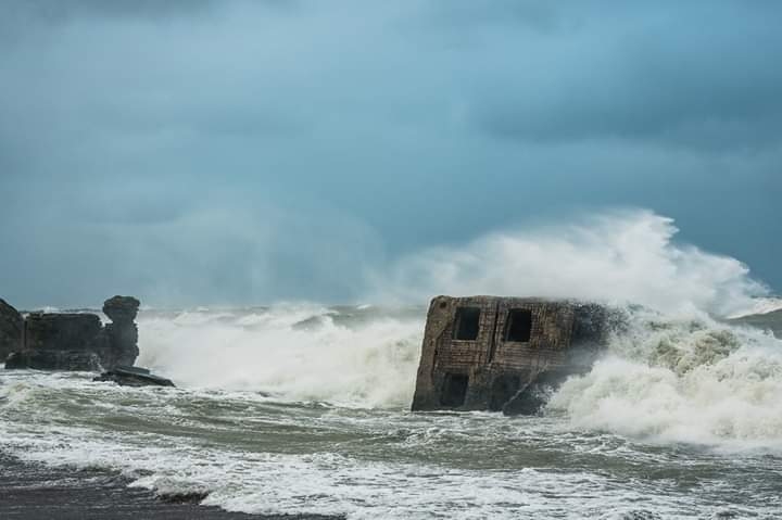 Autors: Valters Pelns