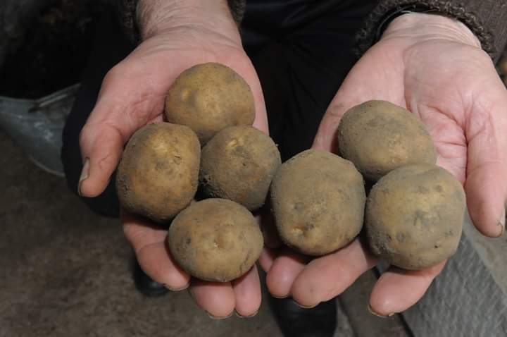 Autors: Dainis Ģelzis