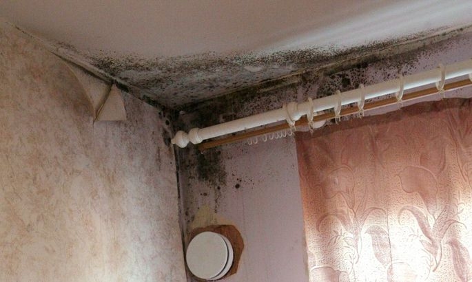 Autors: tarbija24.postimees.ee