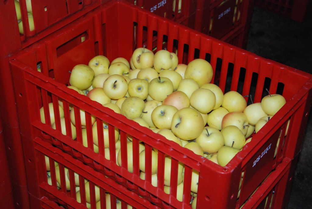 Autors: Uldis Dobelis