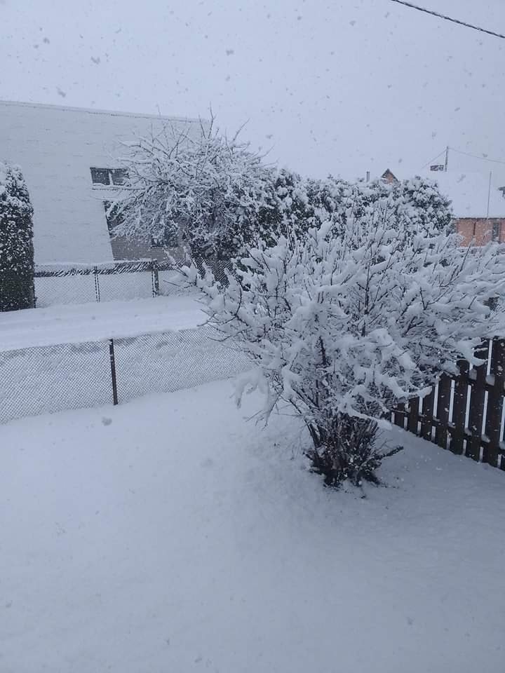 Autors: Ilze Vīgante, Facebook.com