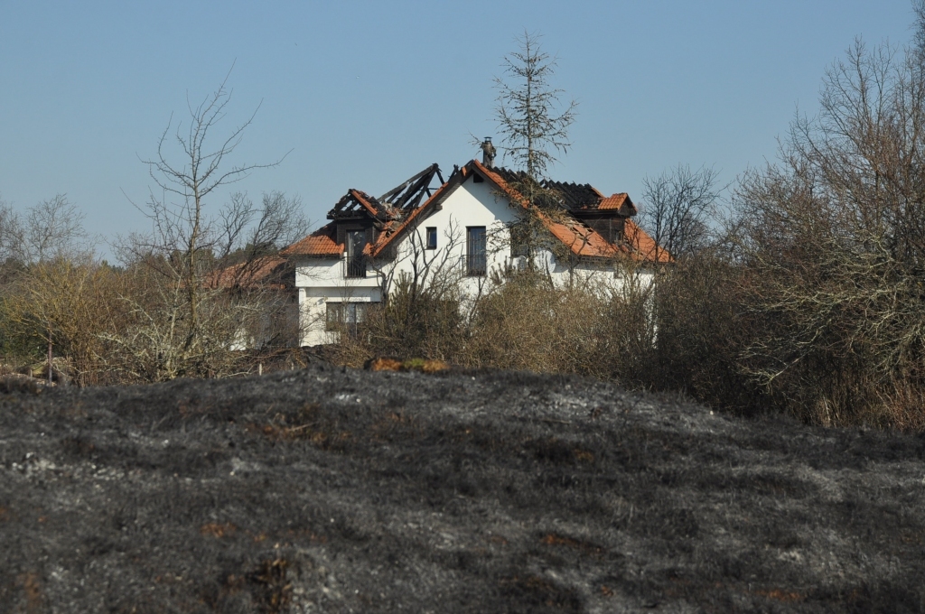 Autors: Dainis Ģelzis