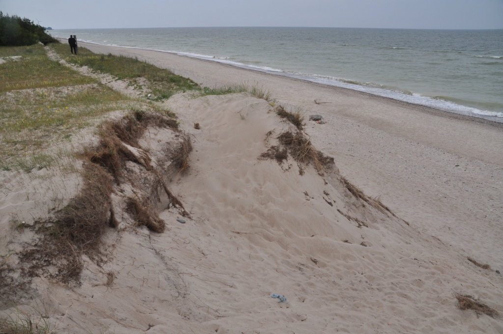 Autors: Dainis Ģelzis