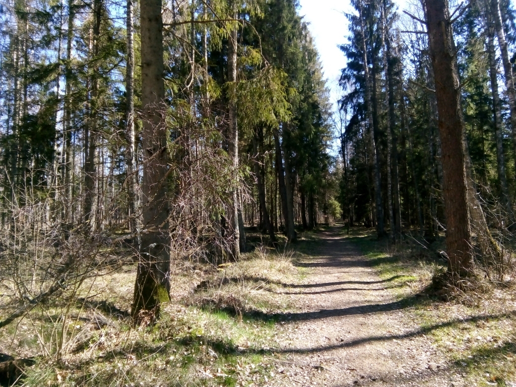 Autors: Uldis Dobelis