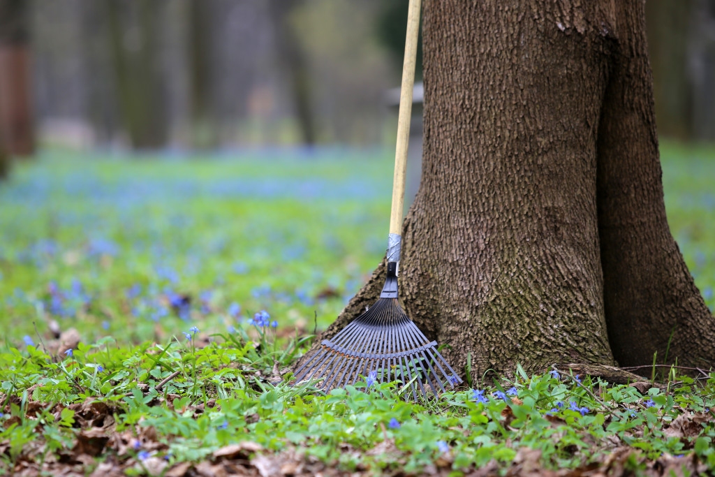 Autors: lielatalka.lv