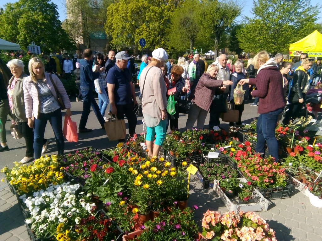 Aluksniesiem.lv raksta attēla aizvietotājs