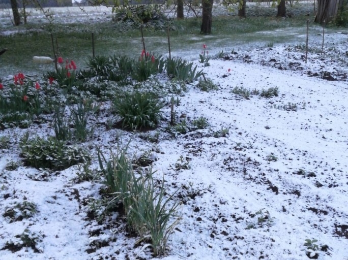 Autors: Sandra Liepiņa