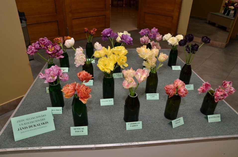 Autors: Ruslans Šuļga