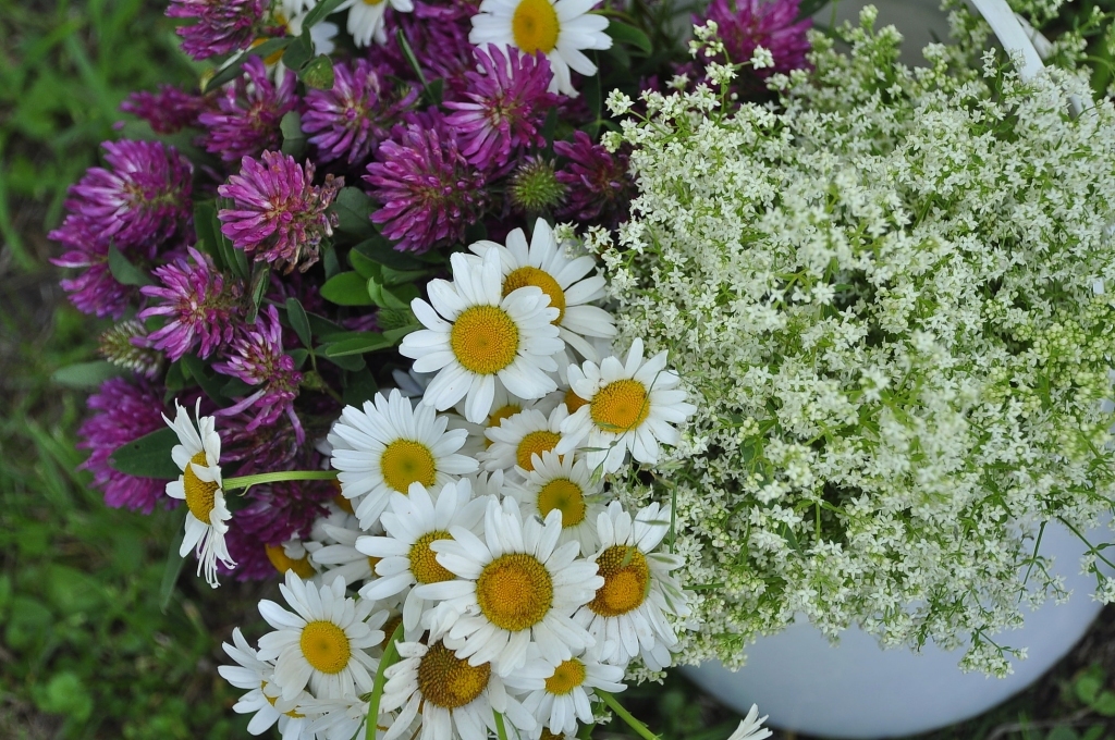 Autors: Dainis Ģelzis