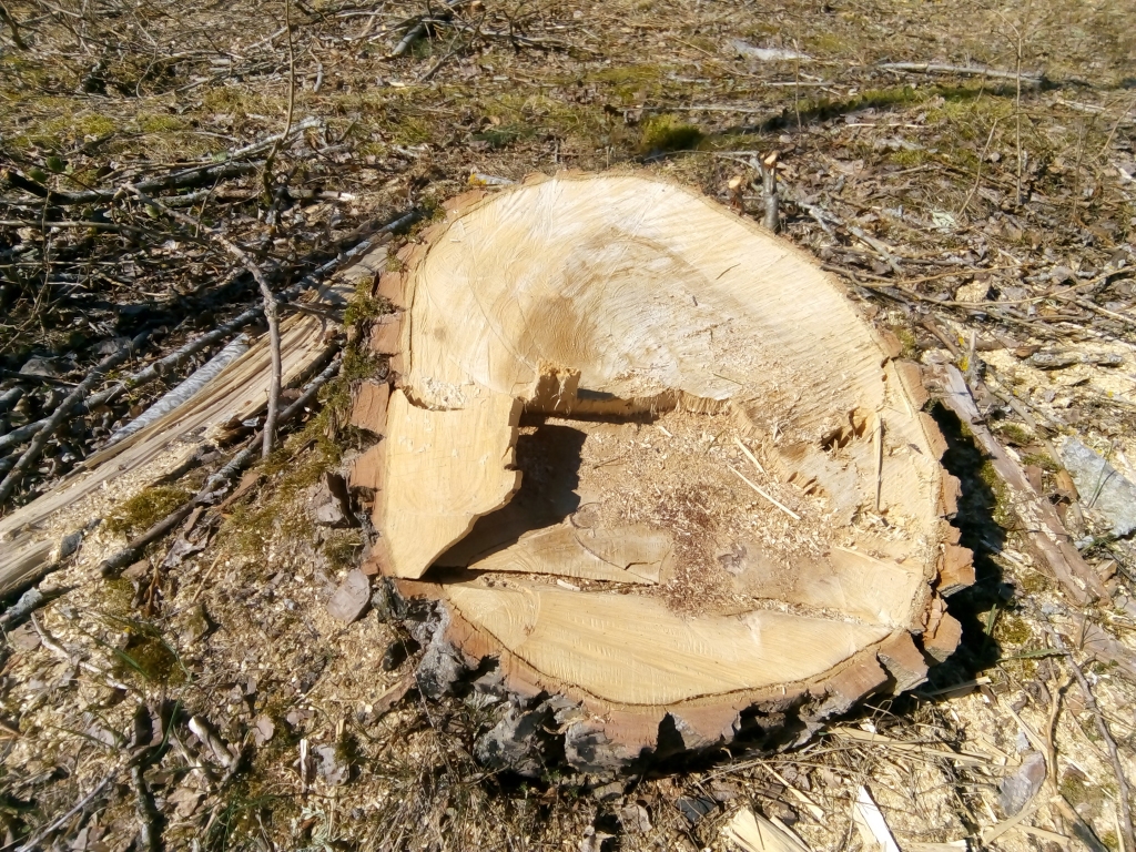 Ilustratīvs foto.
Autors: Uldis Dobelis