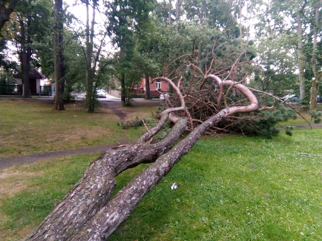 Autors: Uldis Dobelis