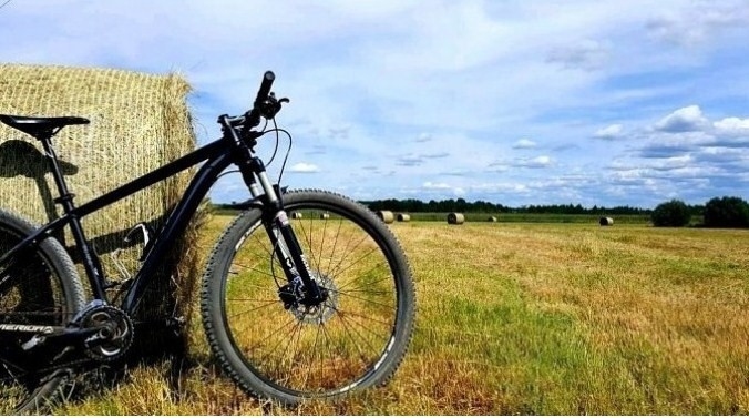 Autors: Baiba Petkus