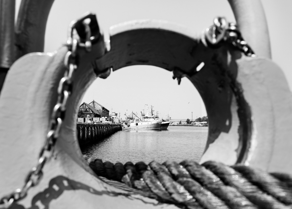 Autors: Publicitātes foto