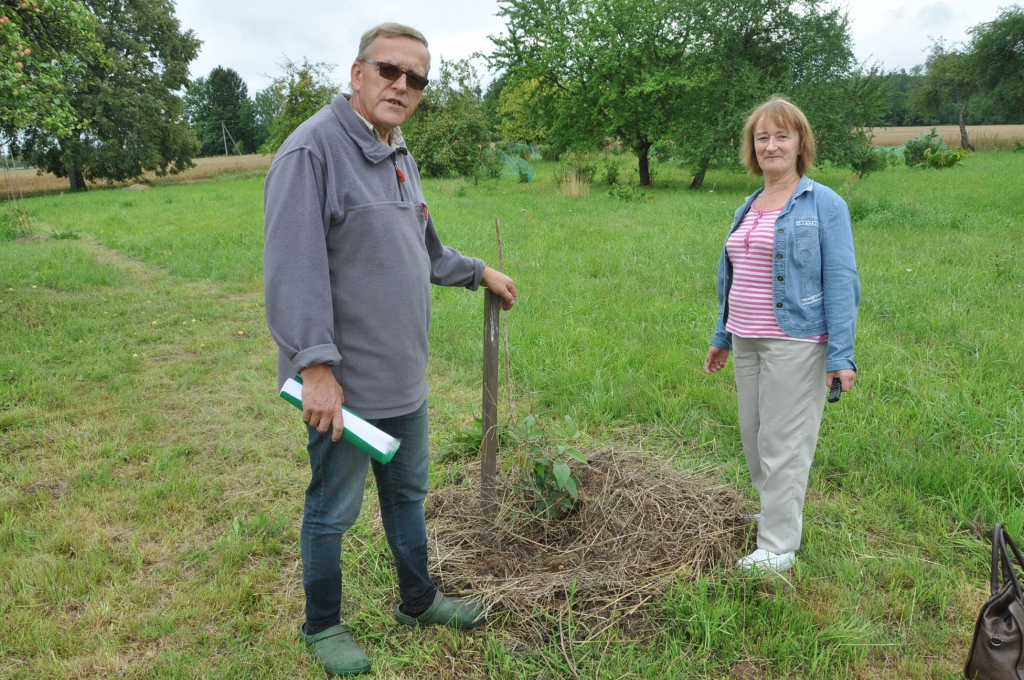 Autors: Dainis Ģelzis