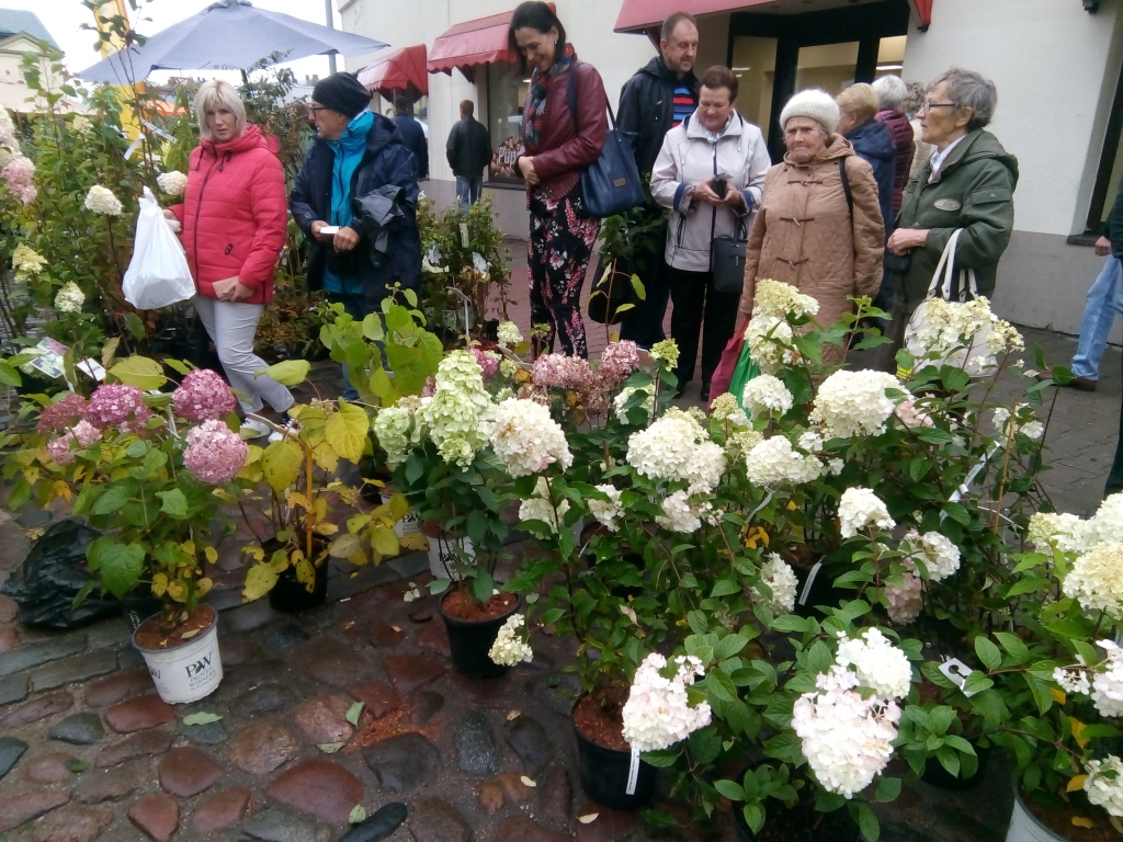 Autors: Uldis Dobelis