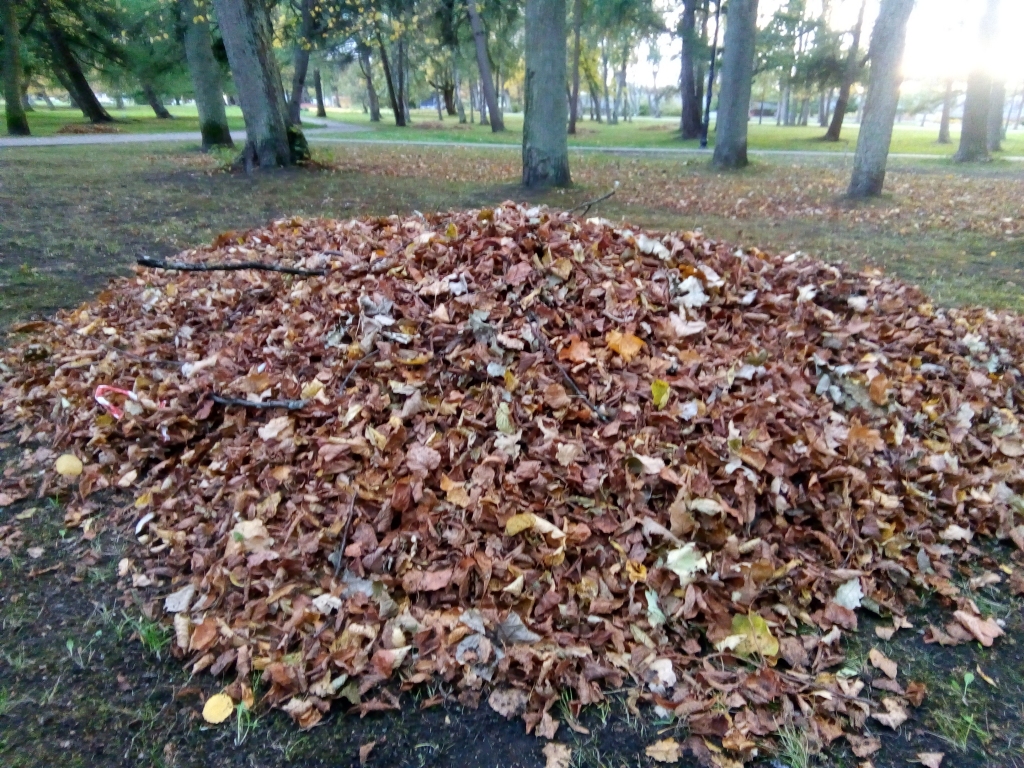 Autors: Uldis Dobelis