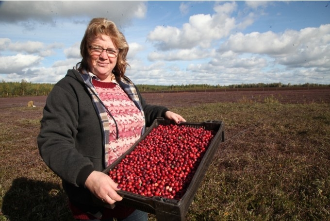 Autors: Gatis Bogdanovs