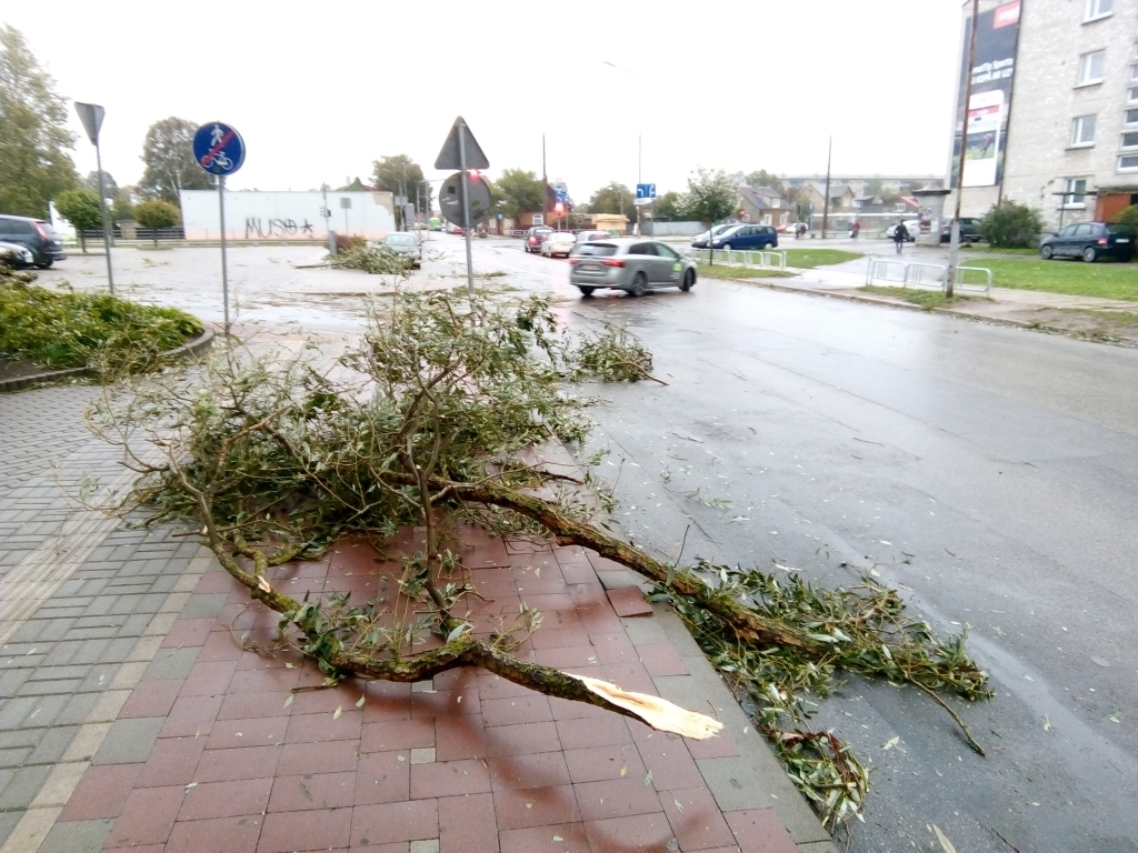 Autors: Uldis Dobelis