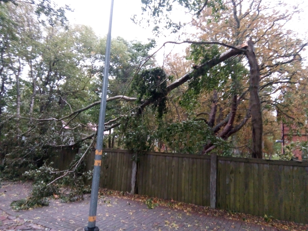 Autors: Uldis Dobelis