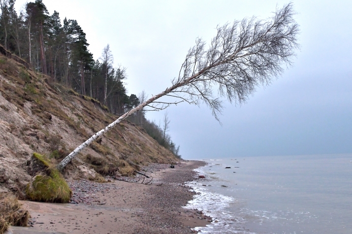 Autors: Aivars Ķesteris