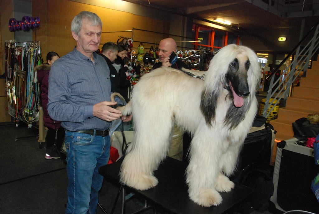 Autors: Uldis Dobelis