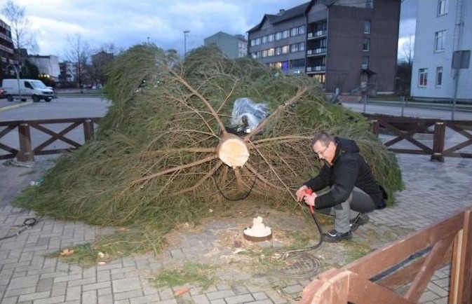 Vēja nolauztā egle Aizkrauklē. 
Autors: Staburags.lv