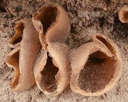 Autors: © Edgars Mūkins