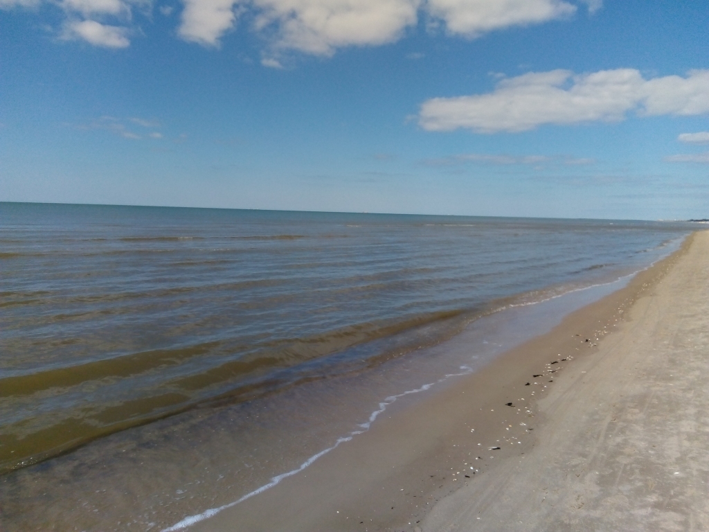 Autors: Uldis Dobelis