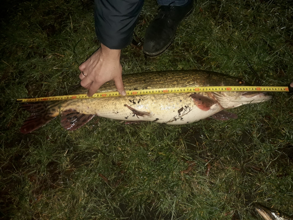 Autors: Valsts Vides dienests