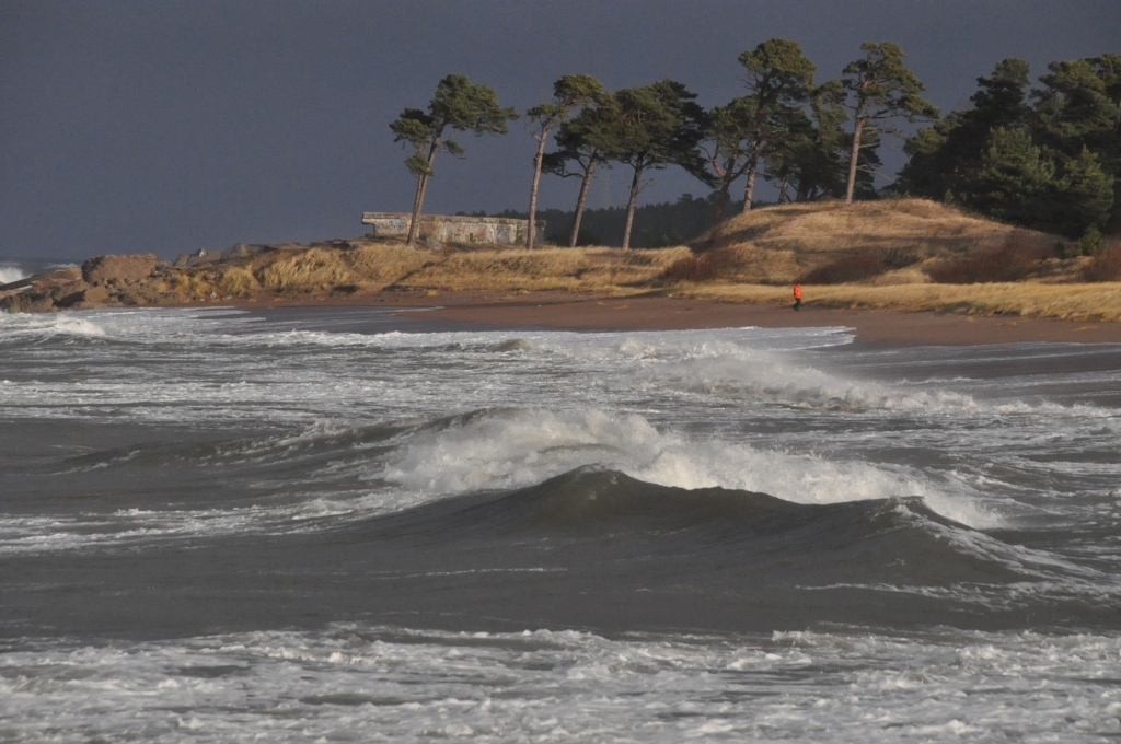 Autors: Dainis Ģelzis