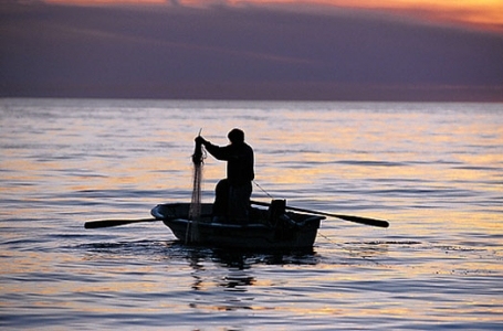 Autors: www.kasjauns.lv