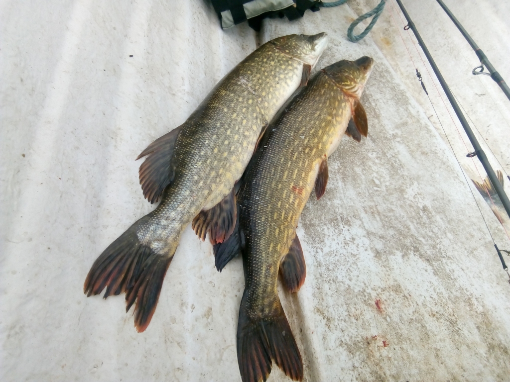 Autors: Uldis Dobelis