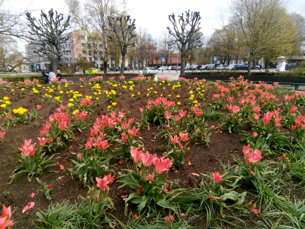 Autors: Uldis Dobelis