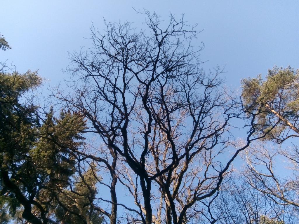 Autors: Uldis Dobelis