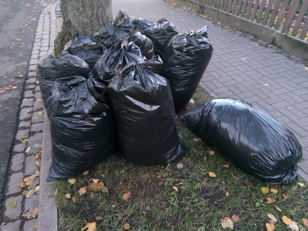 Autors: Uldis Dobelis