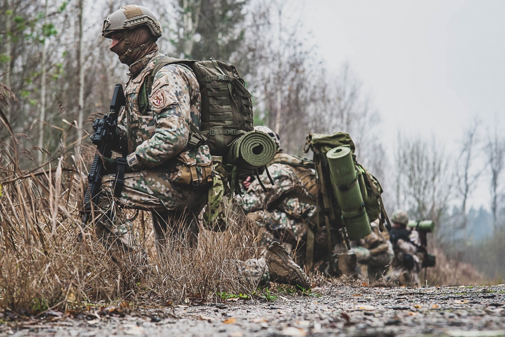 Autors: Elīna Māldere-Matvejeva 